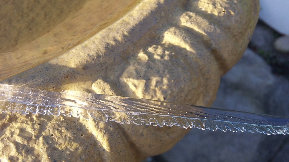 October 30th. morning. first ice.