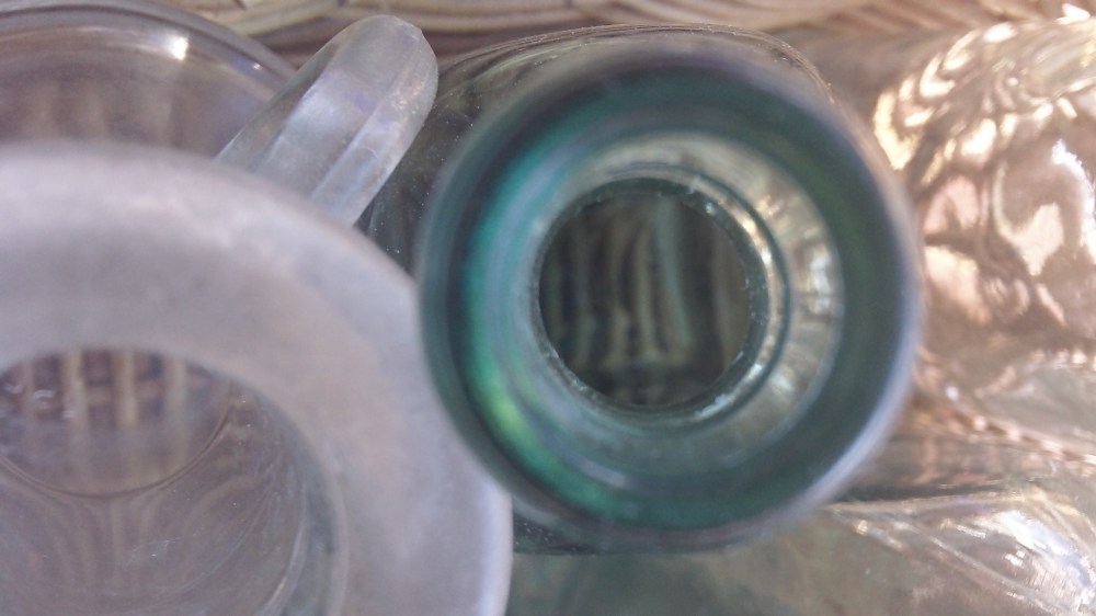 still life:  a tiny spot of green 