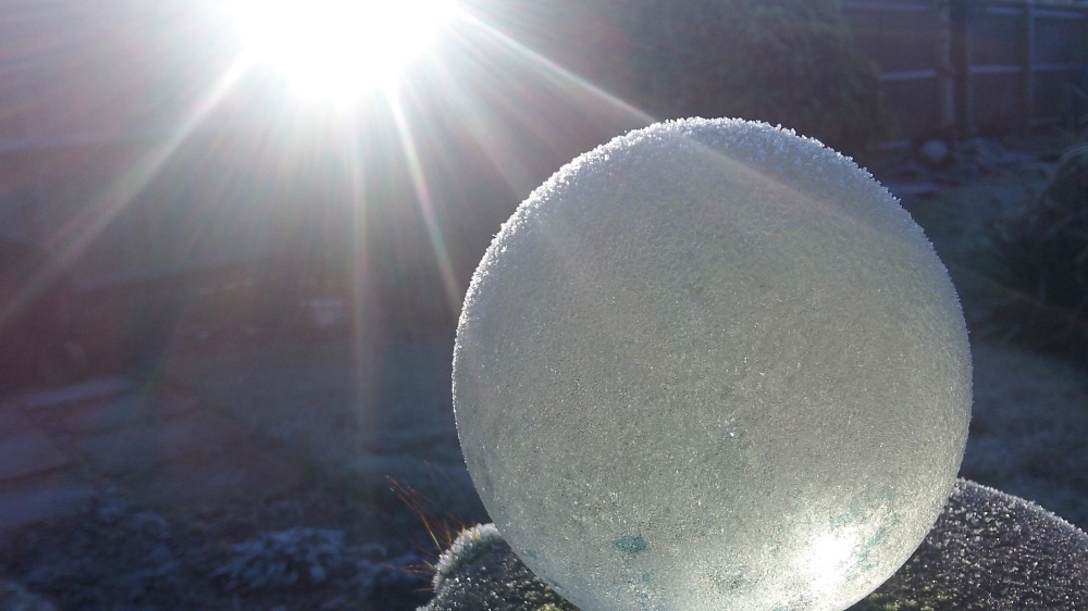 2014: The crystal ball says the sun will shine
