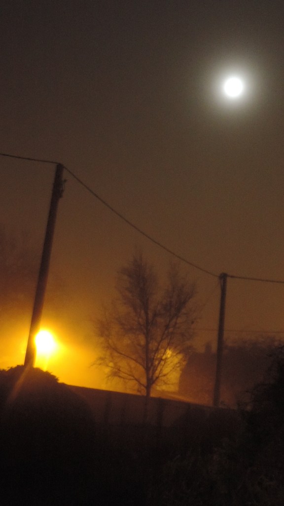 yellow and white light divided  03.30