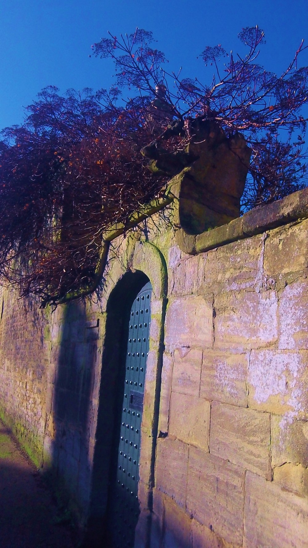 wall and locked blue door