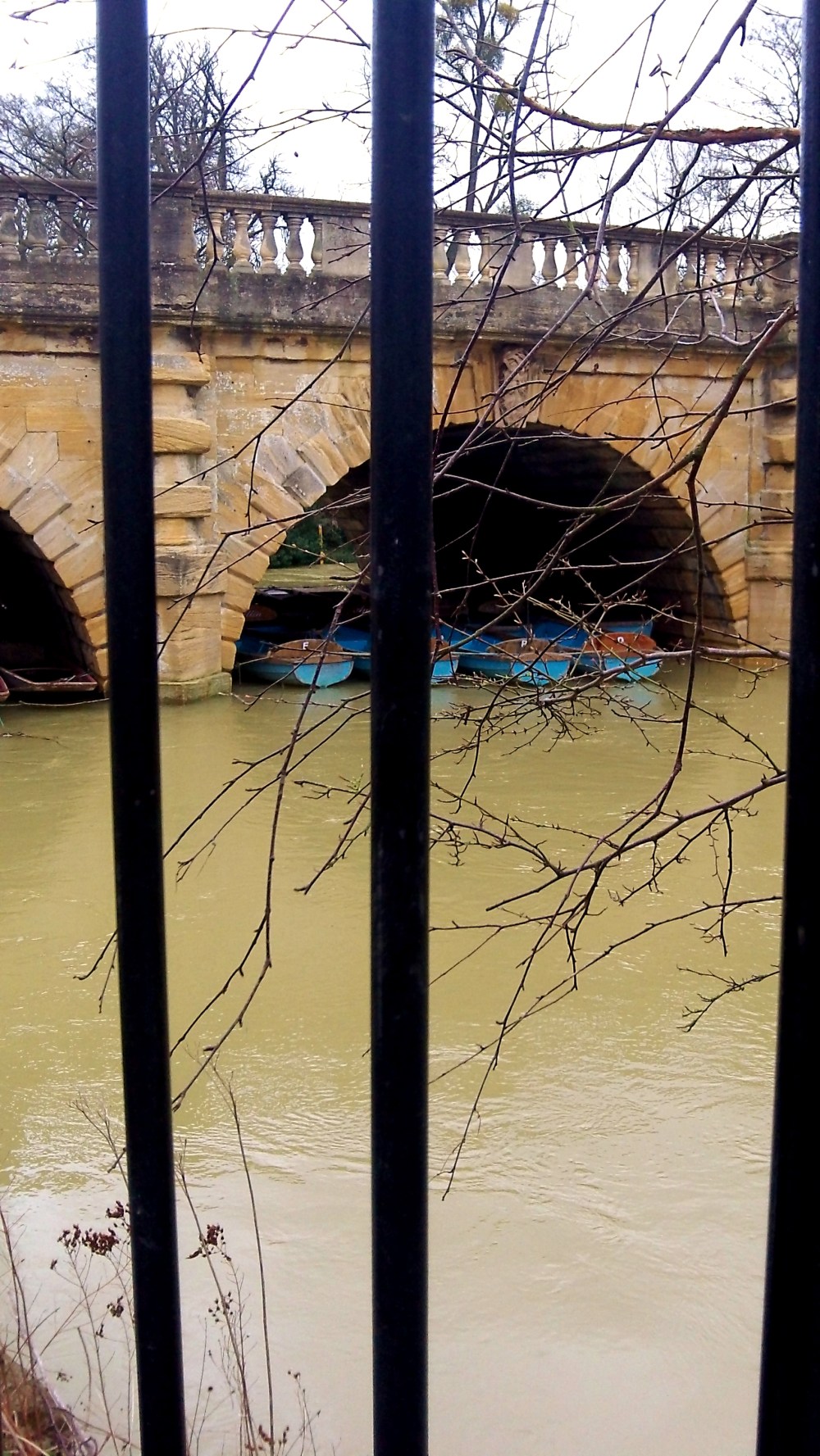 After the rain. Between bars bright blue