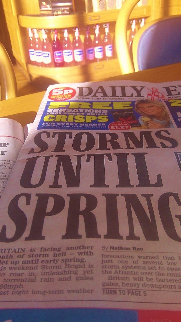 Feb 1st. 12 pink bottles sitting in the sun original