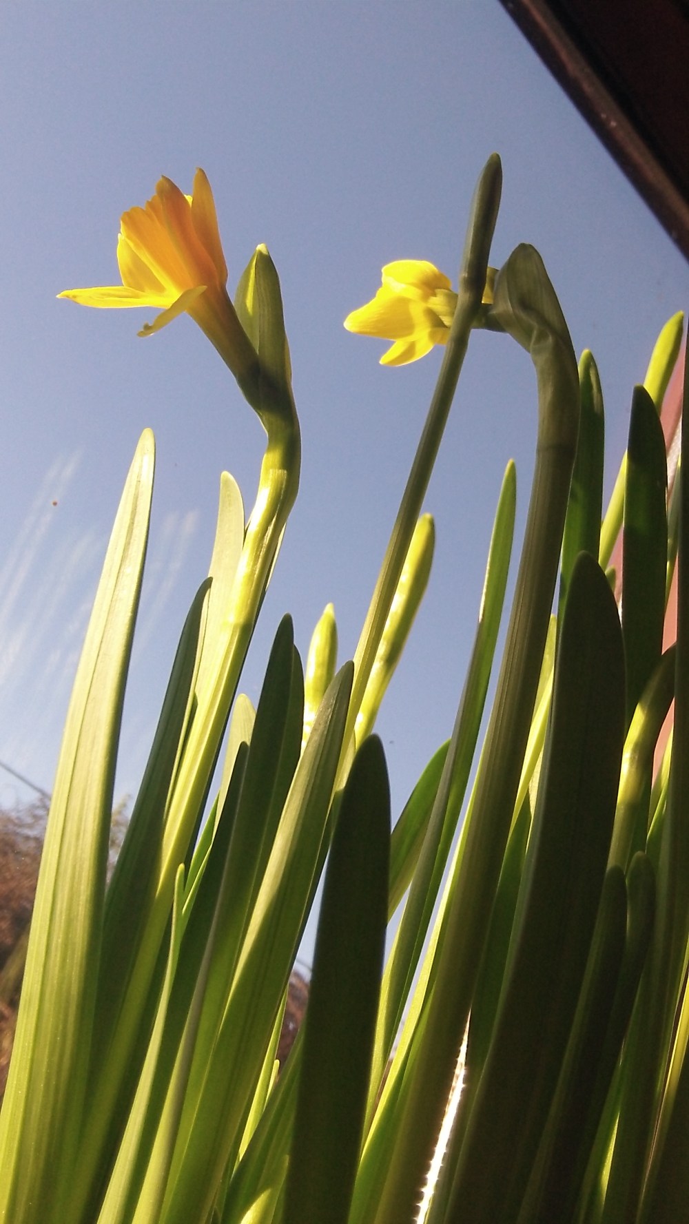 Home: But is it Spring?