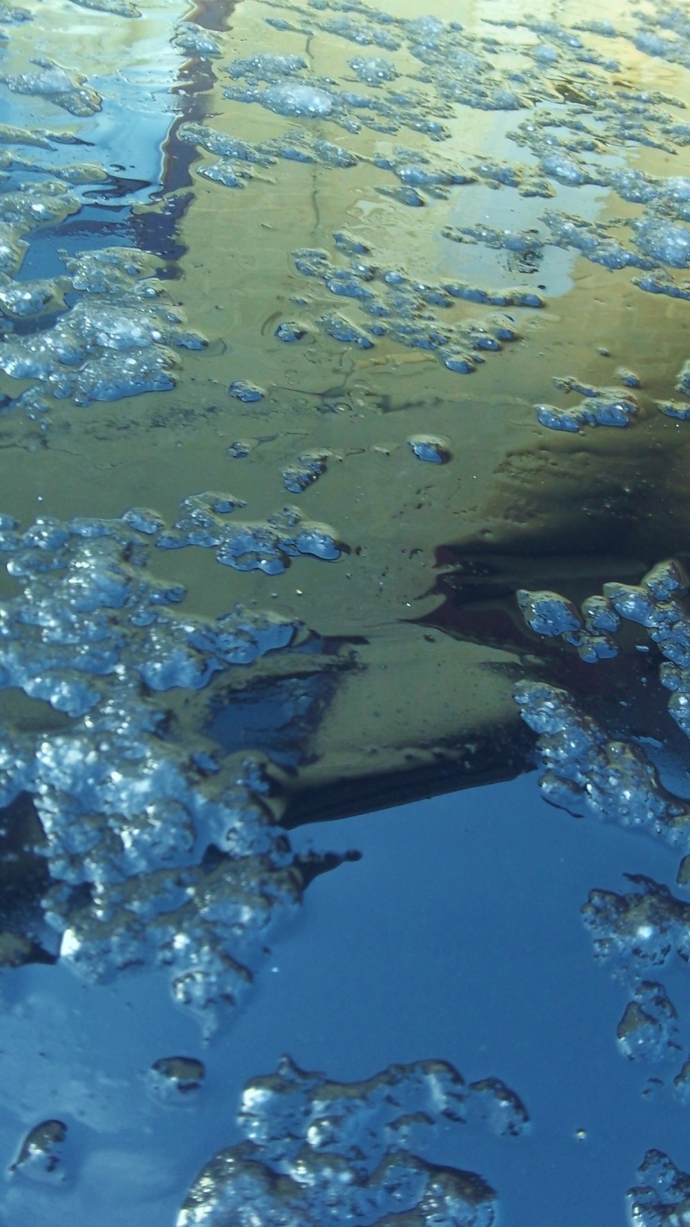 watercolour in blue & yellow on black surface