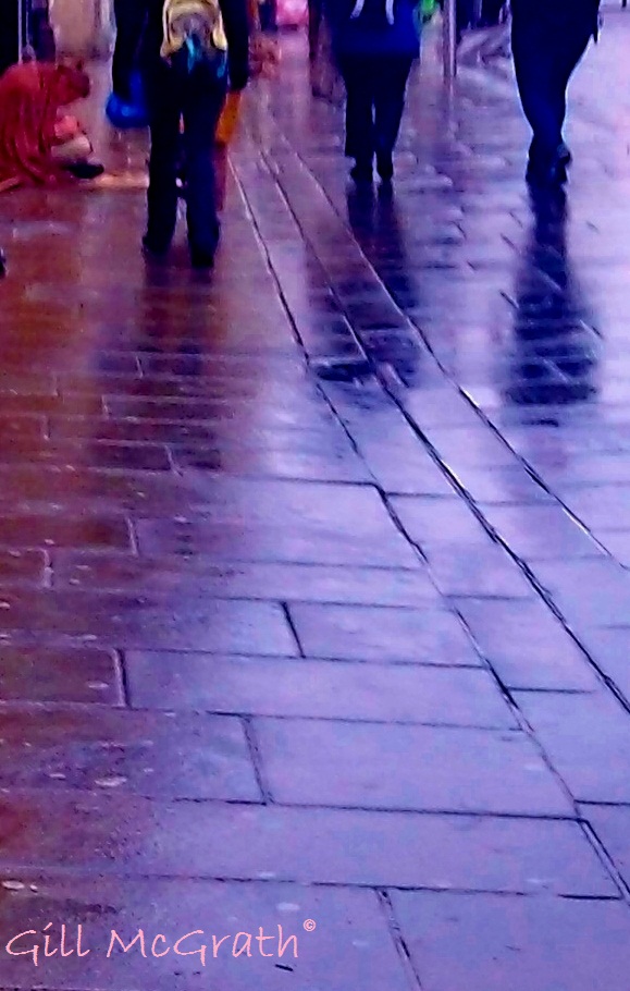 2014 03 25 small brown bird no better blue jpg.sig