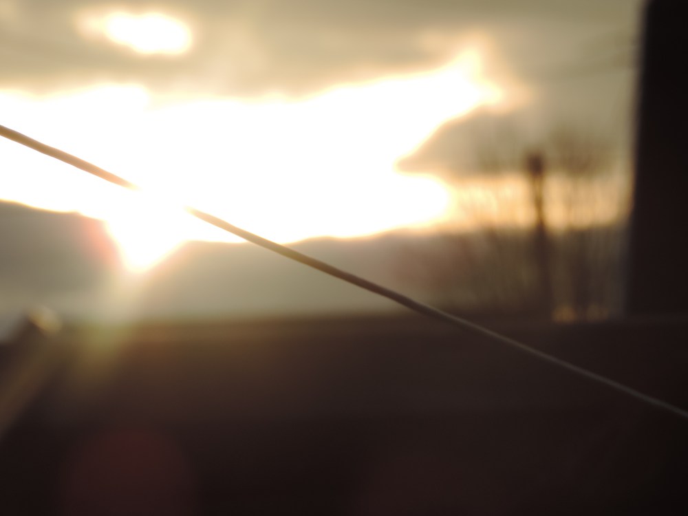 view from washing line 6.49 am