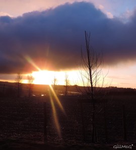 DSCN1800 sunbean meets raindrops on fence sig jpg