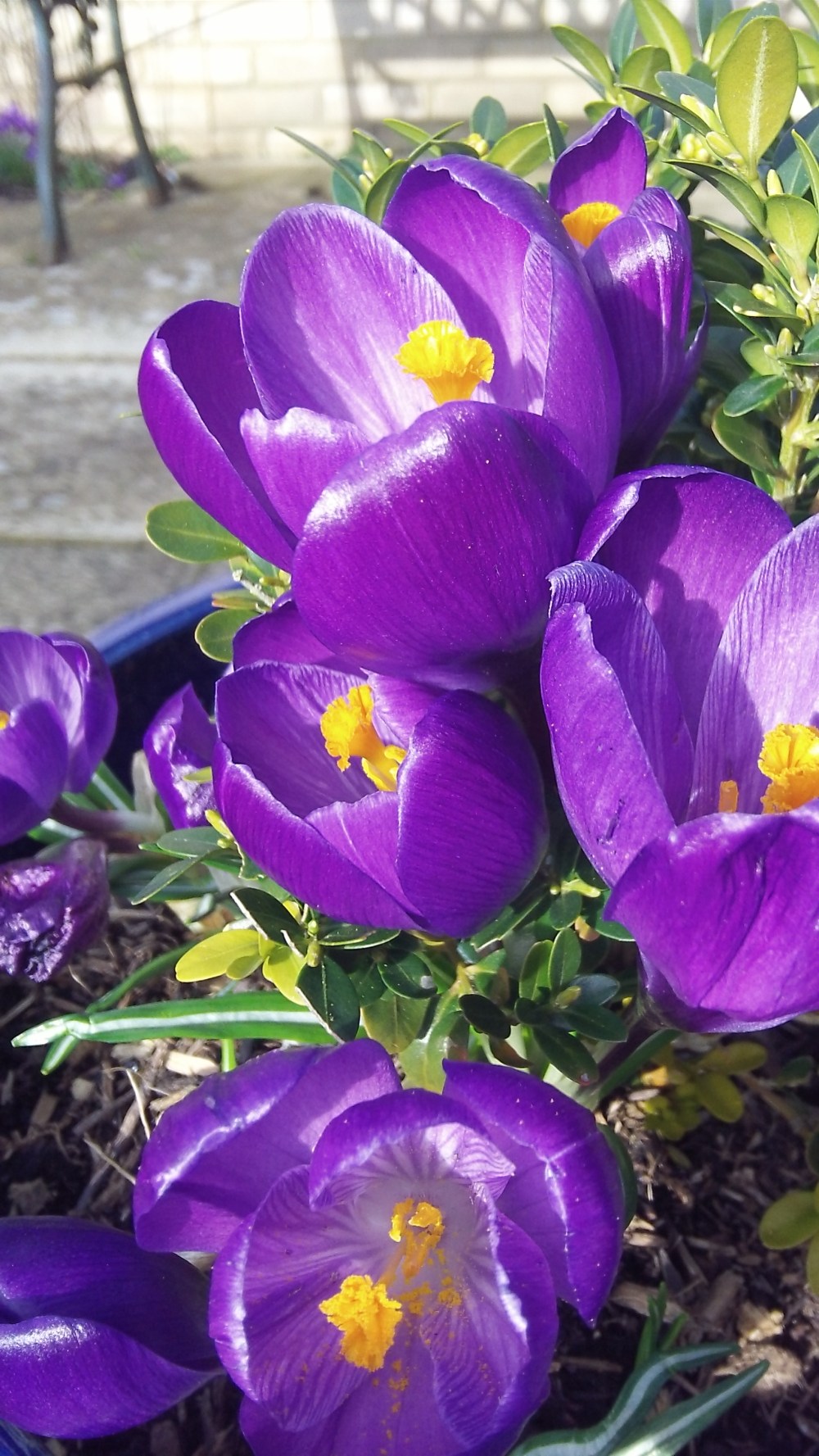 March 9  catching the sun