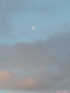 Moon watches sun rise jpg sig