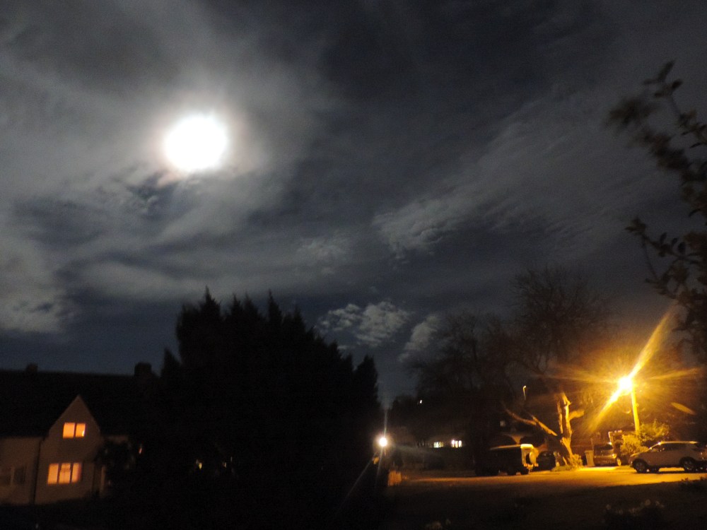 moonlight here 9 o'clock tonight