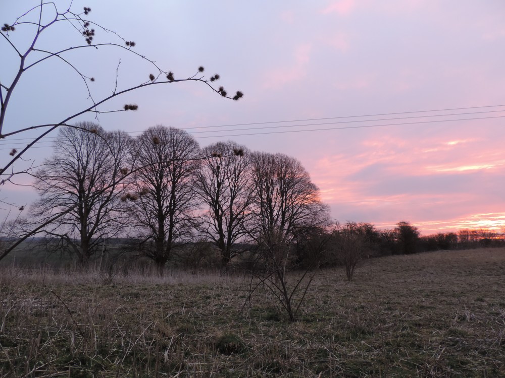 through stinging things towa rds  a tune written in the sky