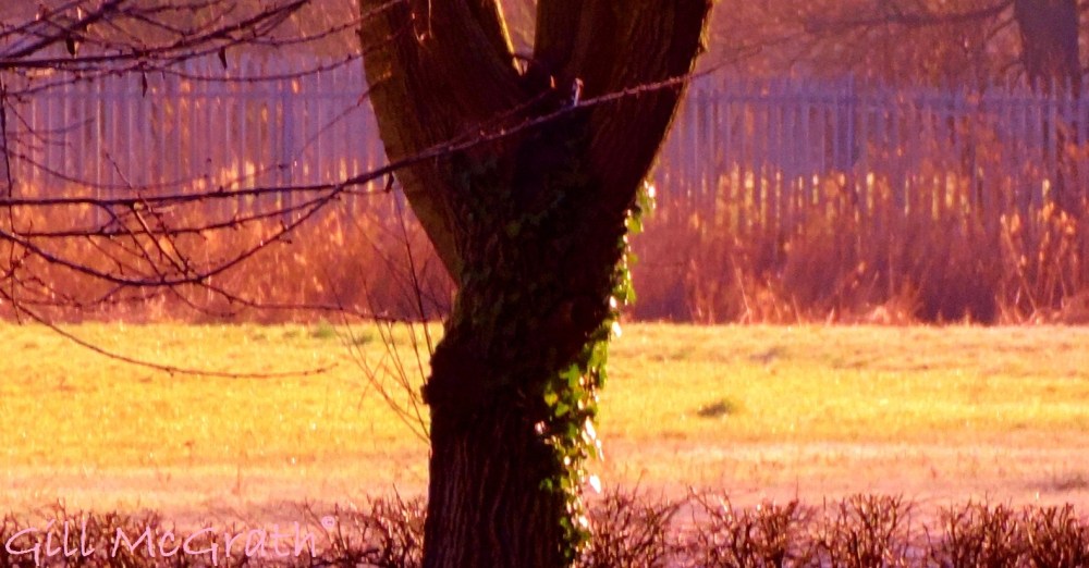 2014 04 02 poetry 4  stopping the clock at yellow jpg sig