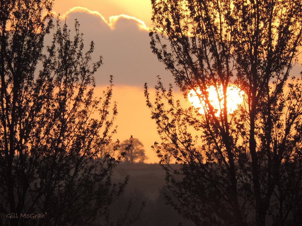 2014 04 13 Sunday Morning 6.25 bewitching in black lace and satin jpg sig