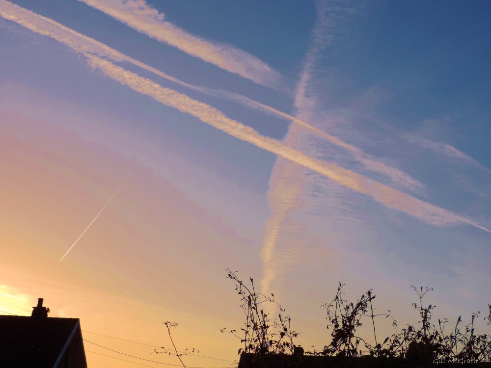 2014  04 16 6.54 Dawn's kiss  jpg sig