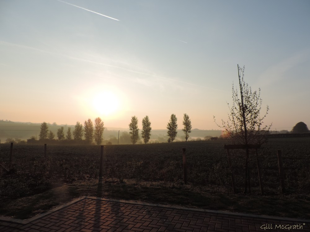 2014 04 21  movement over old footsteps jpg sig