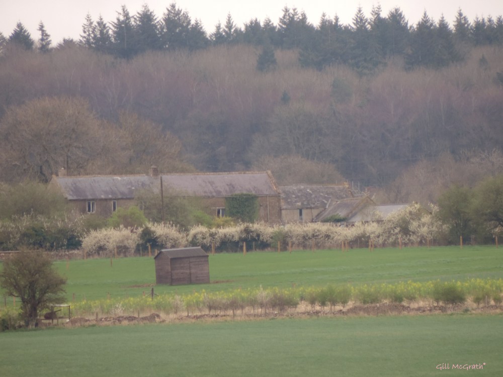 2014 a shed of ones own  jpg sig