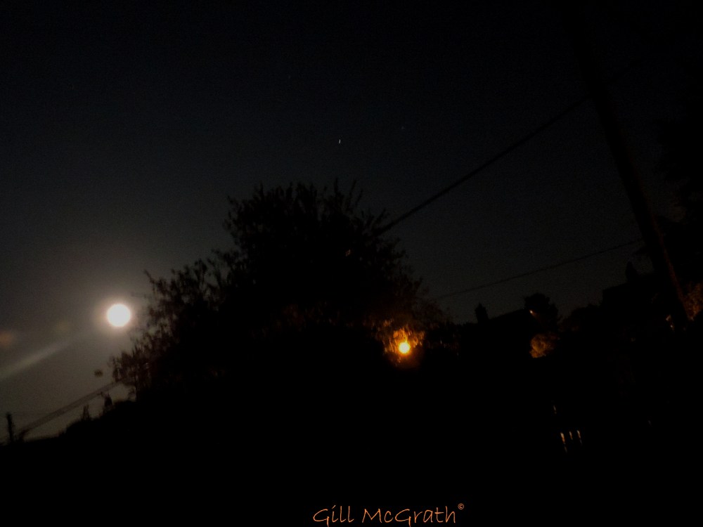 2014  05 16  midnight dancing in the moonlight jpg sig