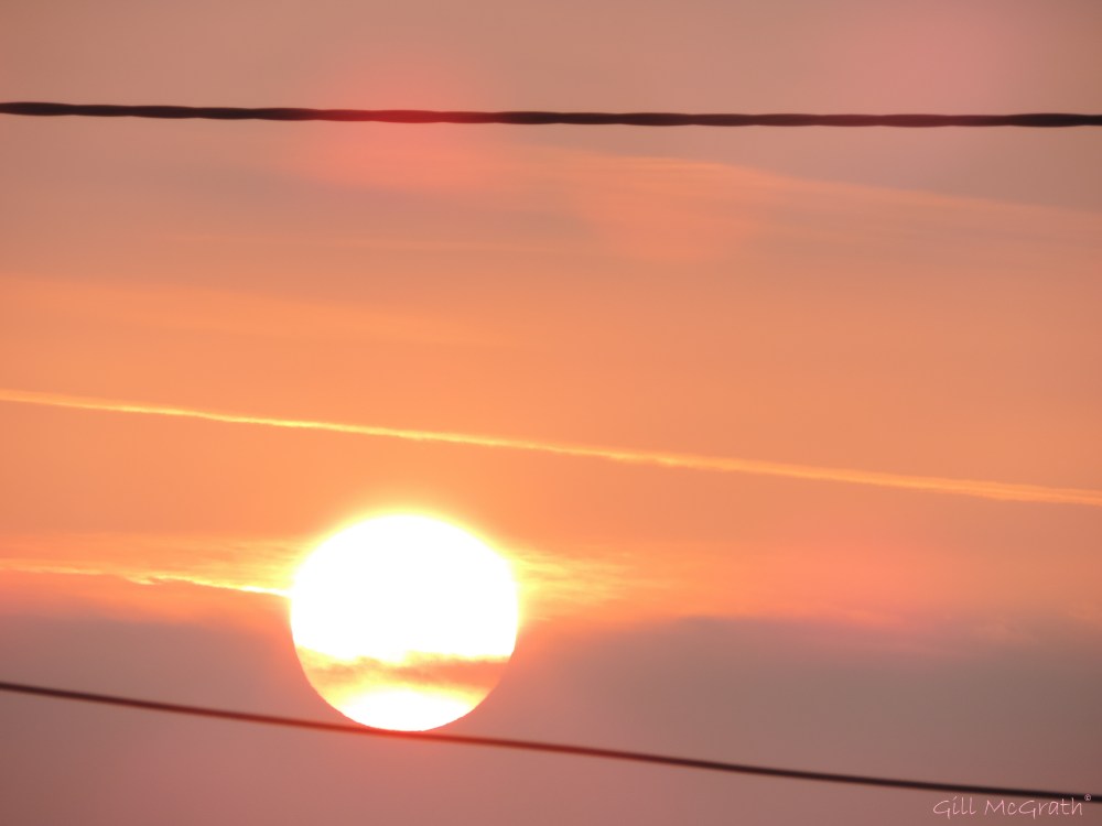 2014 05 18 Sun on my washing line 5,30am jpg sig