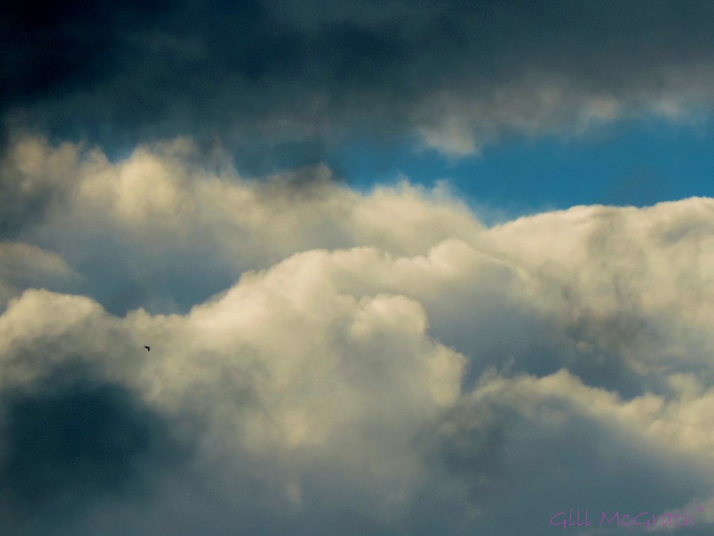 2014  05 22 Thunder rattles jpg sig