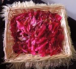 2014 05 28 peony petals  potpourri jpg sig