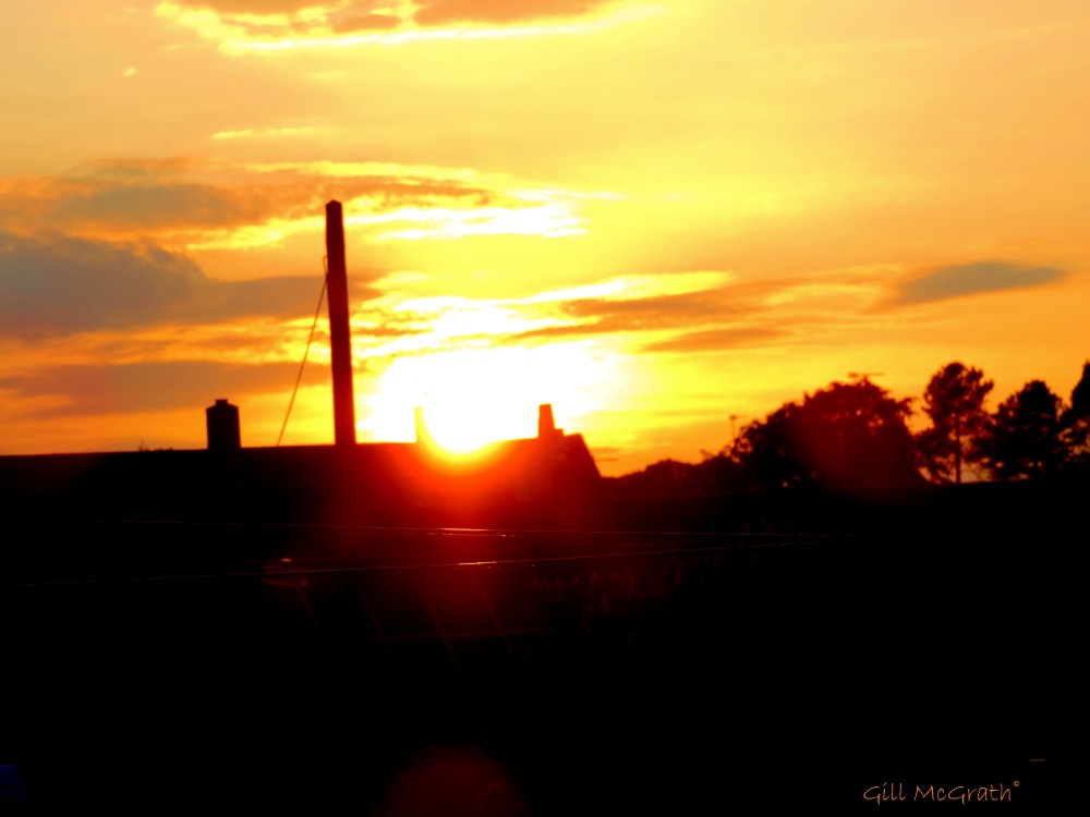 2014 05 31 9oclock Gold jpg sig