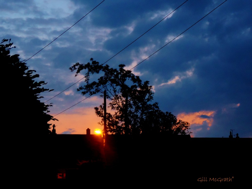 2014 0531 10 pm Lamplight where the sun went down at 9!