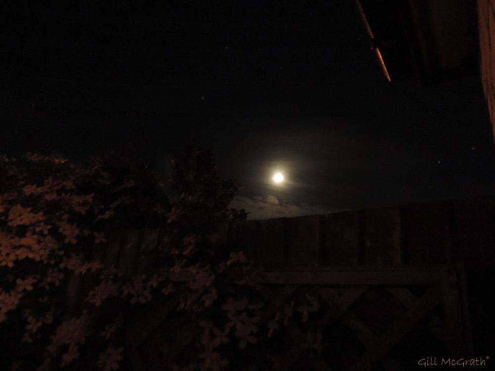 2014  06 05 at Moon over the fence 23.48