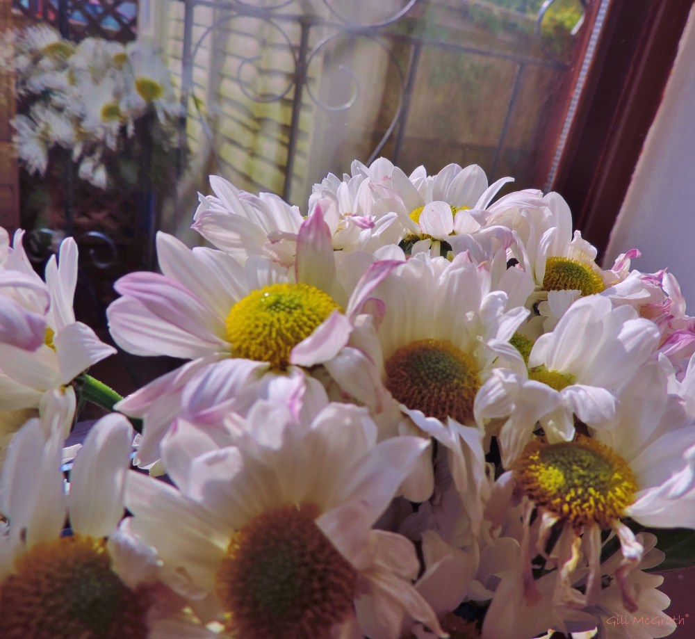 2014 today I celebrate the 29th with you jpg sig