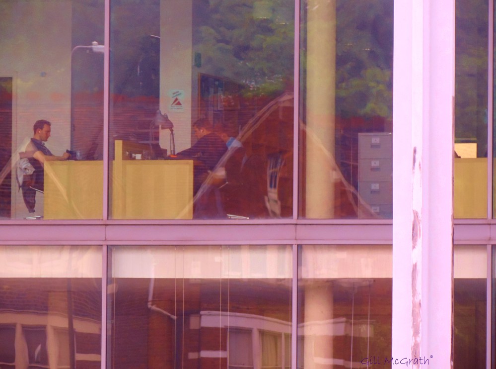 today the view from my window jpg sig