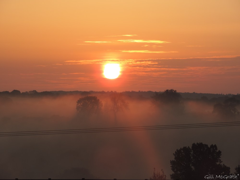 2014 06 01 4.am  sunrise jpg sig
