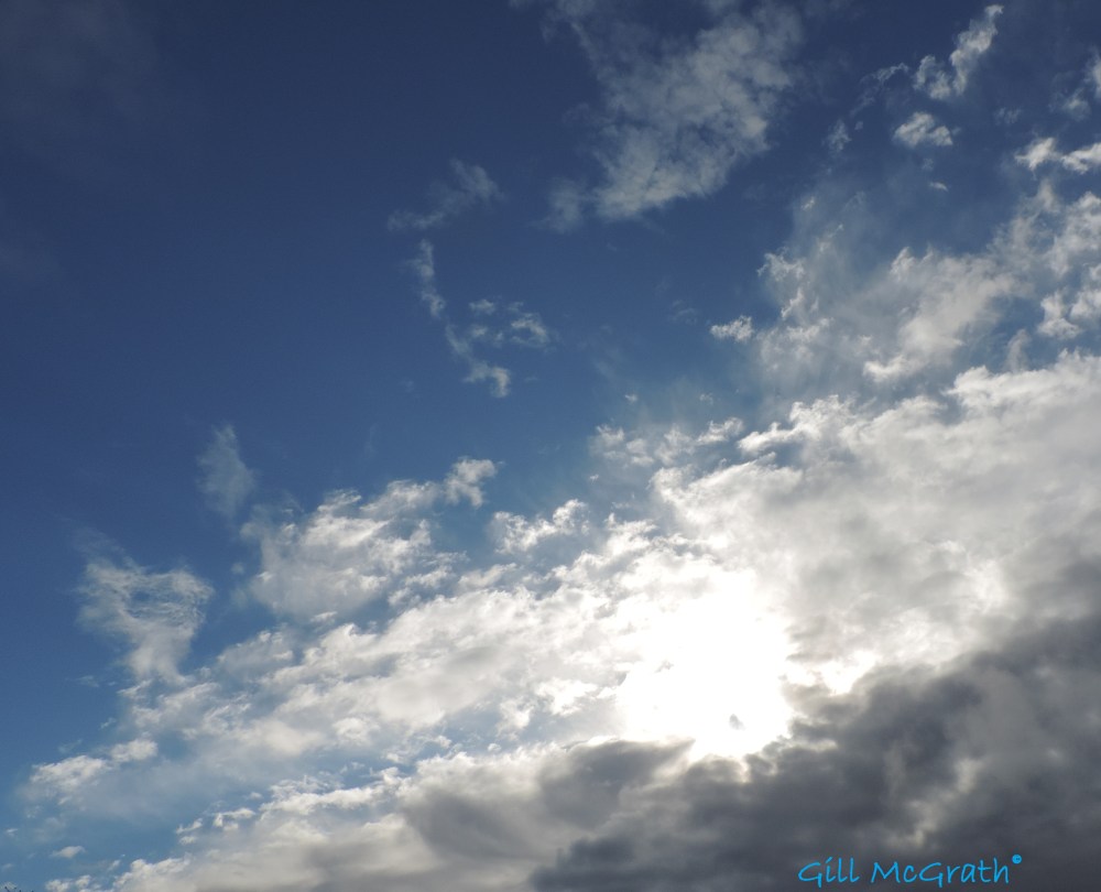 2014 06 04 After the rain all day the sun  showed up 18 48