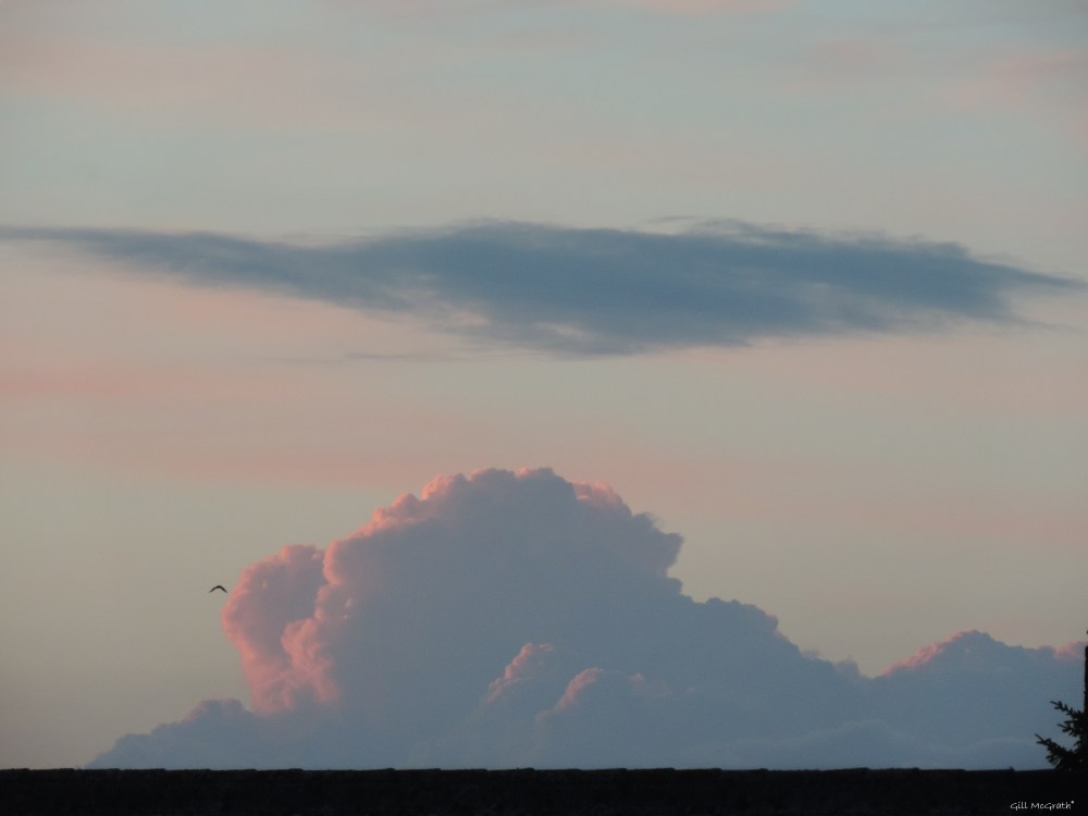 2014 06 07 Twin Peaks 3  orpink mountain jpg sig