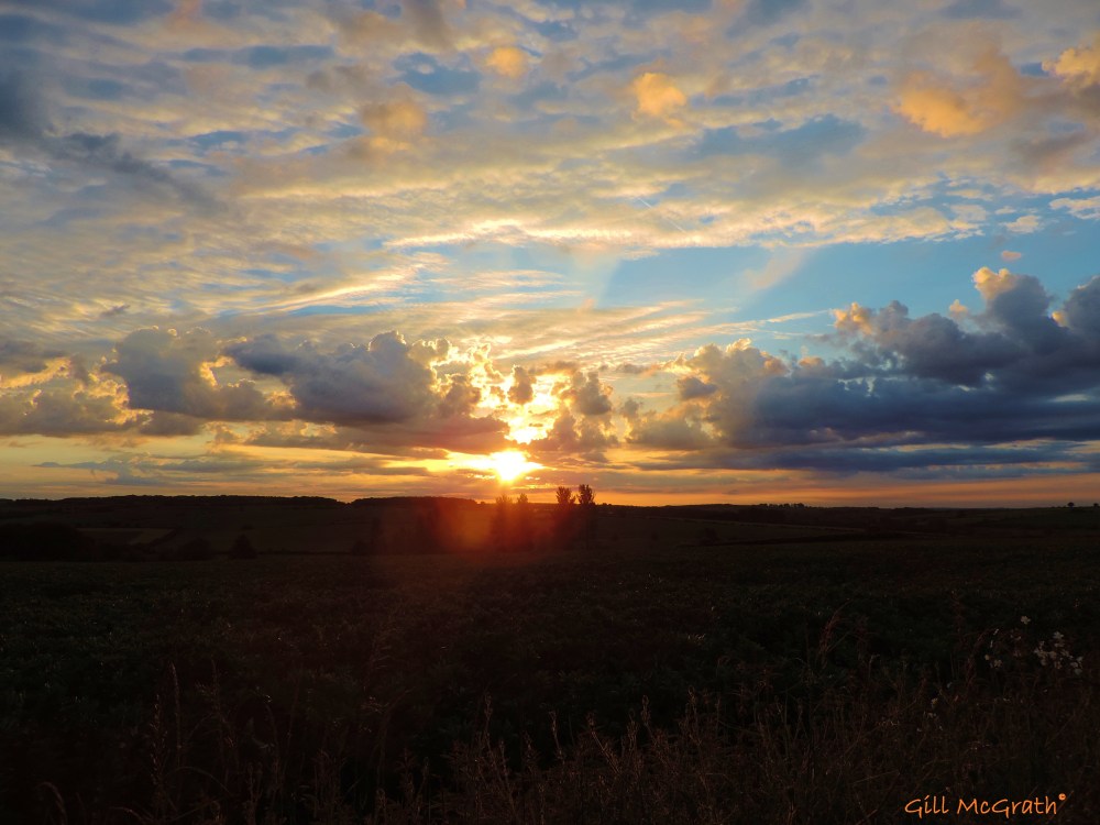 2014 06 09  5 oclock sun jpg sig