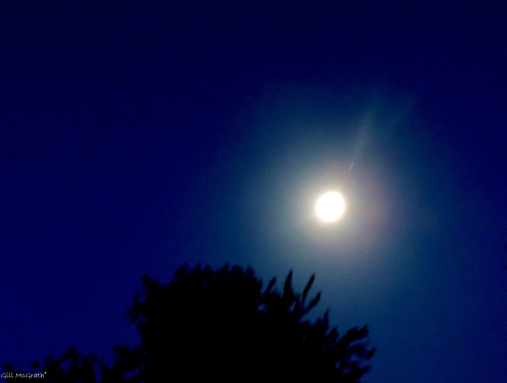 2014 06 10 Moon. 11.00pm jpg sig