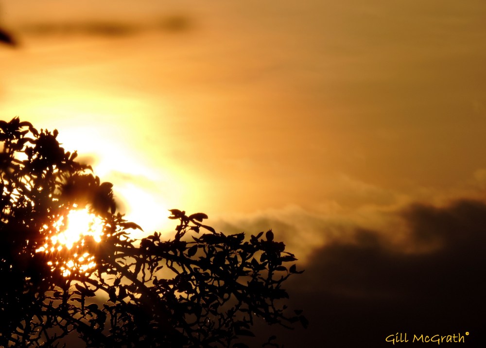 2014 06 19  descent jpg sig