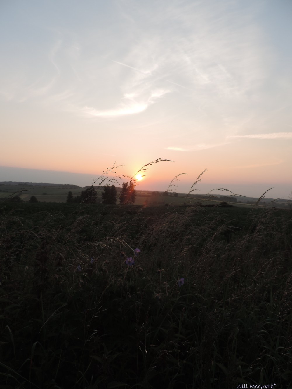 2014 06 22  5.20am Midsummer  purple jpg sig