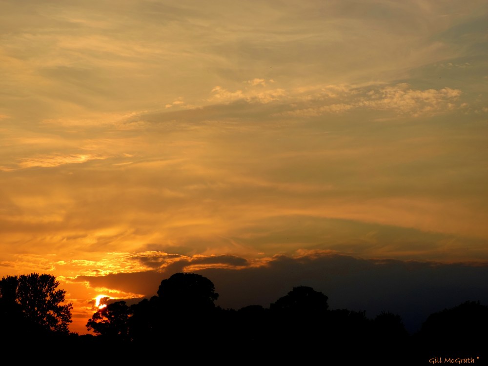 2014 06 22 Sun setting by the river jpg sig