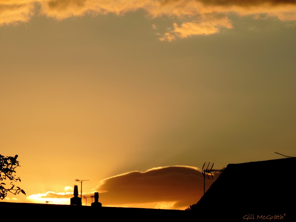 2014 07 06  Mandarin Peel Sunset  9.00 pm jpg sig