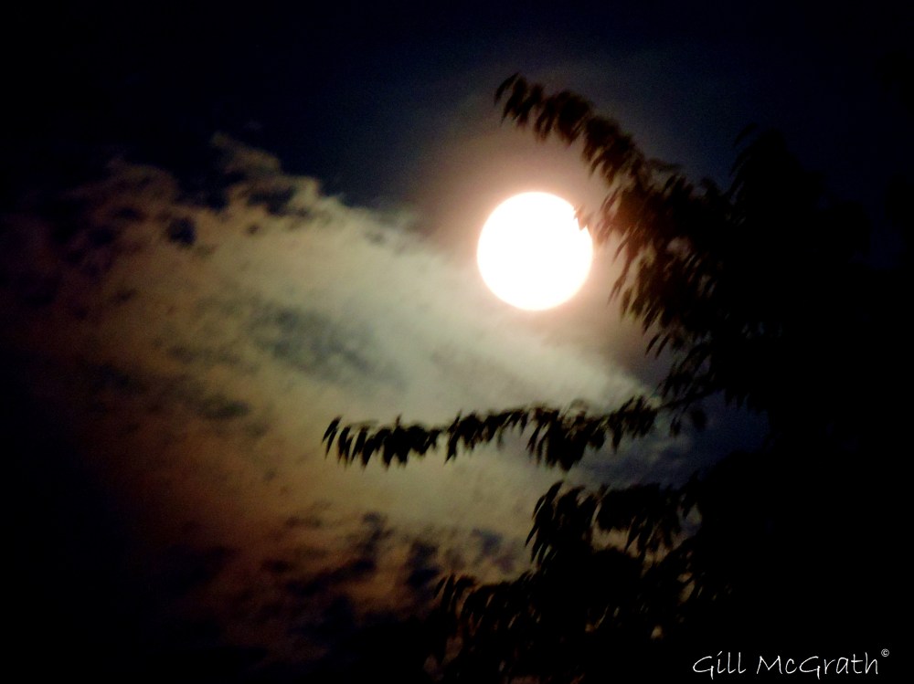 2014 07 11 Milky moon 10 30pm jpg sig