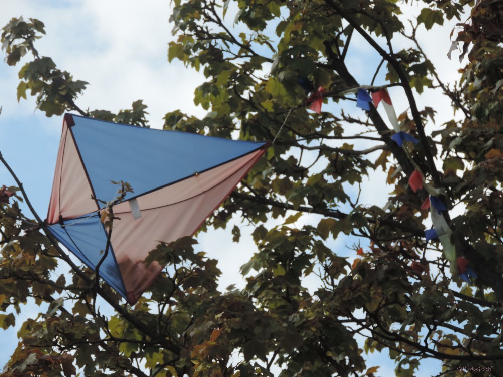 2014 07 28 Kite update from Pollyanna jpg sig