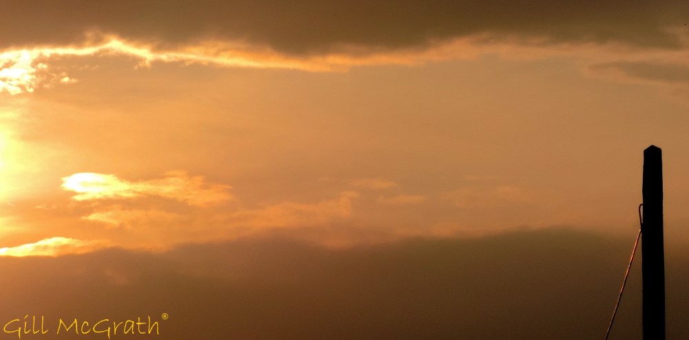 2014 08 01 signed in Gold jpg sig