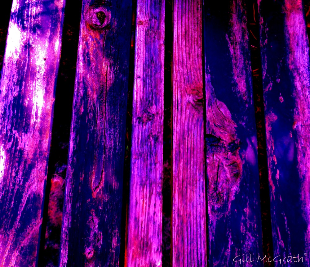 2014 08 20 Purple and Blue jpg sig