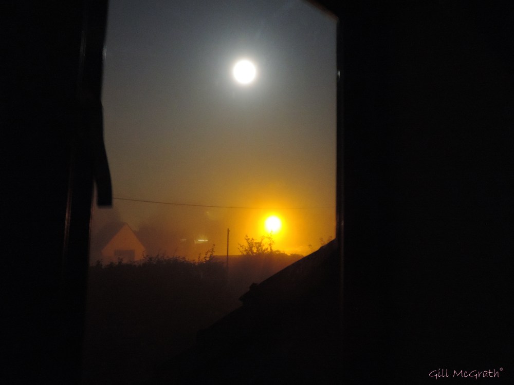 2014 09 10 full moon you were not alone last night jpg sig