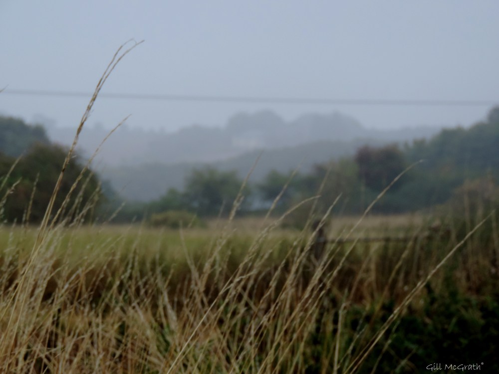 2014 09 15  gate jpg sig