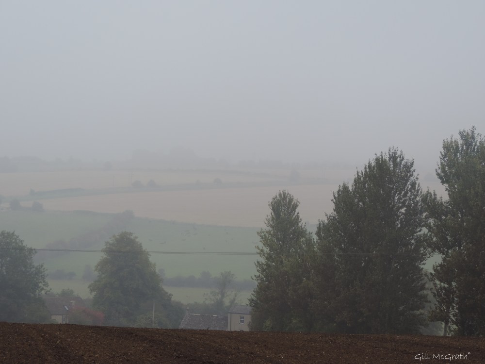 2014 09 15  mist sheild 3 jpg sig