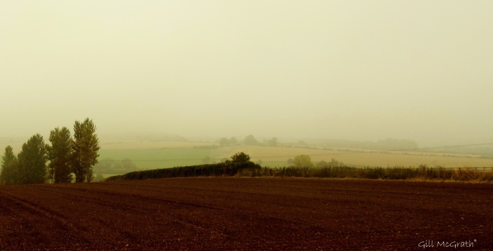 2014 09 15 ploughed misty no particular line jpg sig