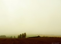 2014 09 15 Ploughed. veiled. no lines in the sky jpg sig