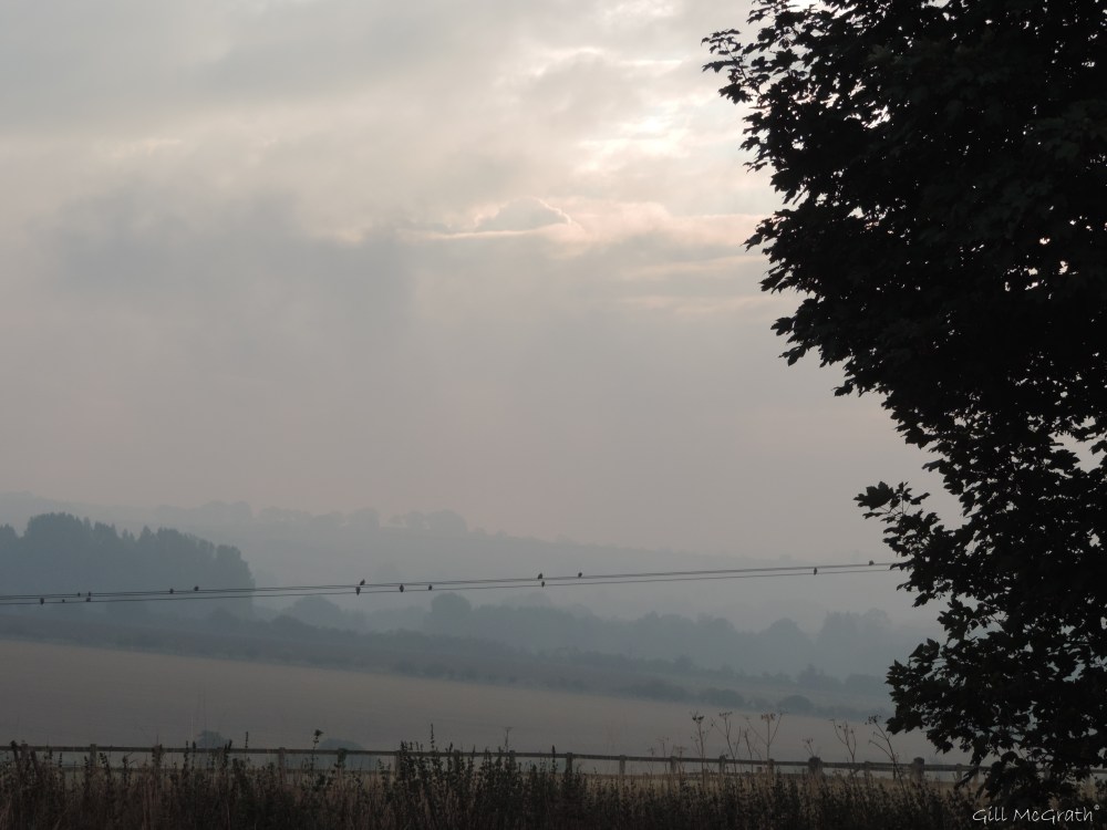 2014 09 24 the valley song jpg  sig