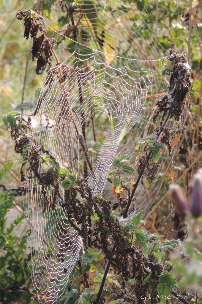 2014 09 30 An illusion jpg sig